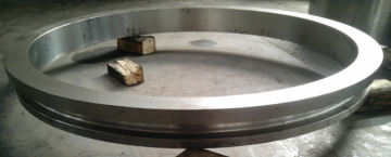 Stainless Steel Forging Guidance Ring