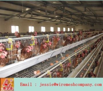 alibaba china supplier battery chicken cages used/a type 4 tiers layer chicken cage 160