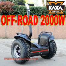 2000W Electric Scooter Skateboard