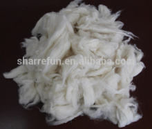 sheep wool open tops white for woolen spinning