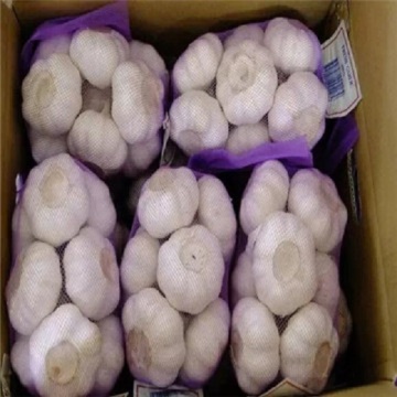 Bags of delicious garlic