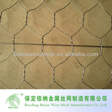 Hex steel net/hex mesh