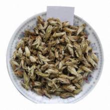 Tea, Sprout Old Arbor, Quantity is Very Small