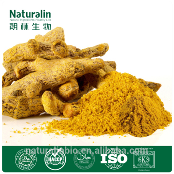 Turmeric Extraction/ curcumin for pigment/turmeric powder