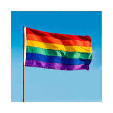 Custom Printed 3x5ft Polyester Pride LGBT Rainbow Flags at Affordable Prices