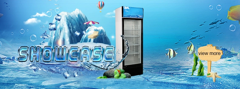 Big Capacity Vertical Blast Deep Display Freezer with Glass Door