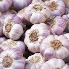 Natural Purple Garlic for Homemade Pickles