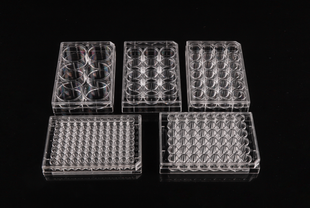 TC-Treated 48 well Cell Culture Plates