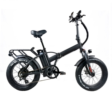 20'' Fat Tire Folding Electric Bike