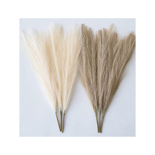 Not Shed Fluffy 45cm Faux Pampas Grass - Artificial Pampas Grass for Wedding Decoration
