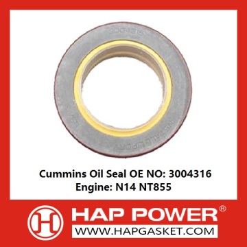 Industry Oil Seal 3004316