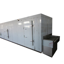 IQF tunnel flash freezer for Ice Cream