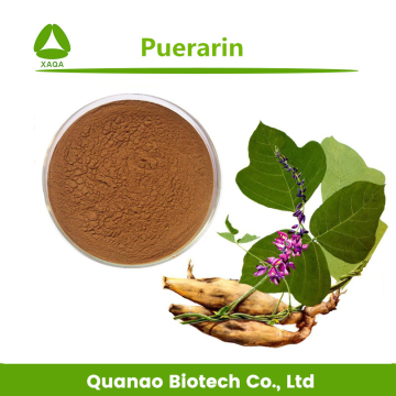 Radix Puerariae Kudzu Root Extract Powder 10% Puerarin