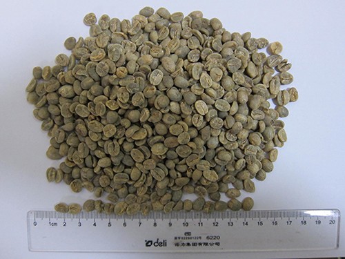 コロンビアのコーヒー豆、アラビカコーヒー豆、グリーンコーヒー豆、コーヒー工場