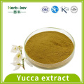 Antibacterial action 60% Yucca Extract powder