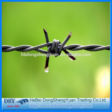 Anti-oxidation galvanized weight of barbed wire per meter length