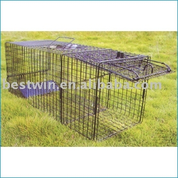 raccoons & squirrels trap