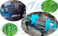 moringa seeds oil press machine