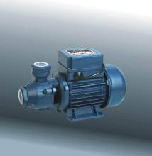 Peripheral Pump, Electric Pump with CE and UL (DKF1)