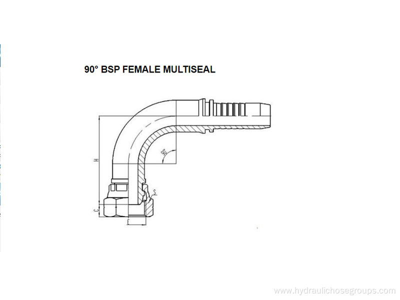 90° BSP Female Mutiseal 22191