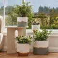 White Ceramic Flower Pot Garden Planters