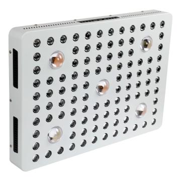 2500 w Led Grow Light Hidropônico