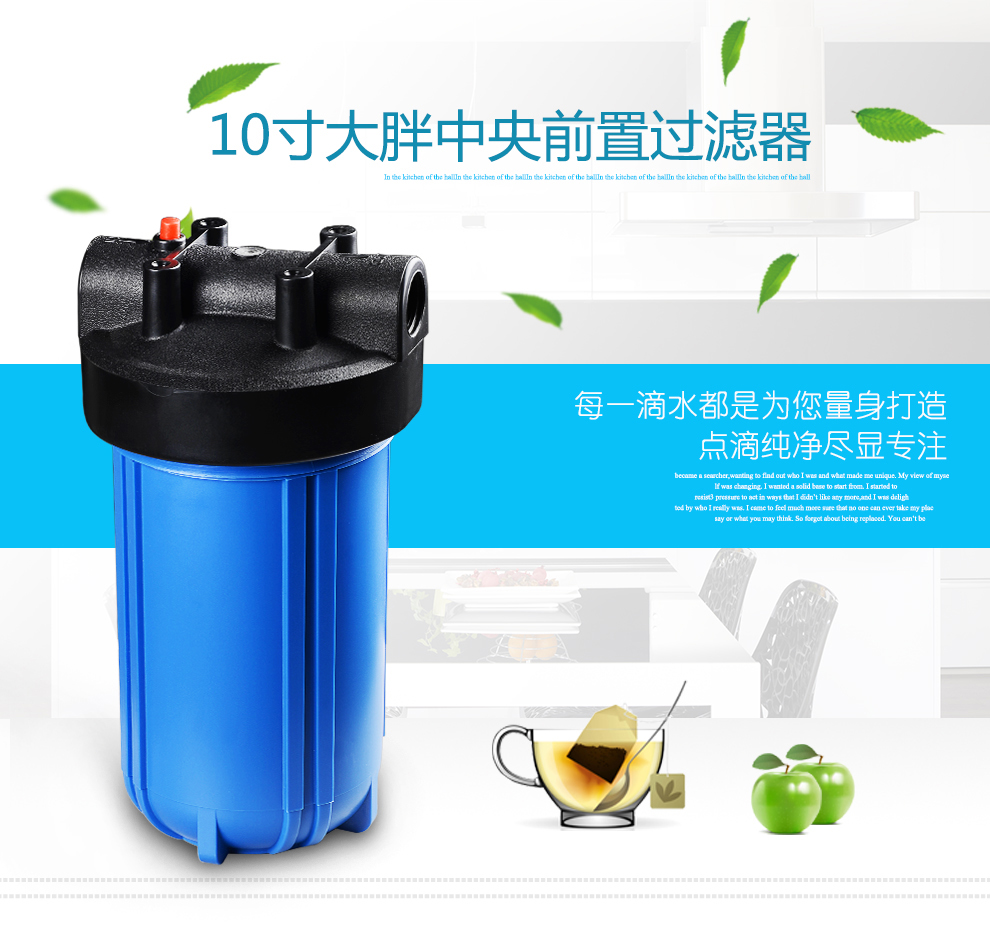 High Pressure 2.5*20inch Slim PP Blue Water Filter Housing with 3/4" brass inlet/outlet NW-BRK01