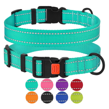 Reflective Dog Collar with Buckle