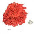 Hot sale Low Pesticide Dried goji berry fruit