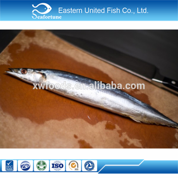 Wild whole round pacific saury