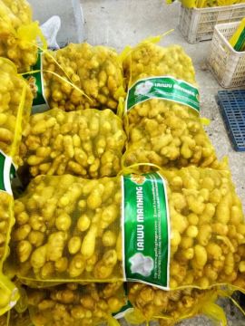 mesh bag packed fresh ginger