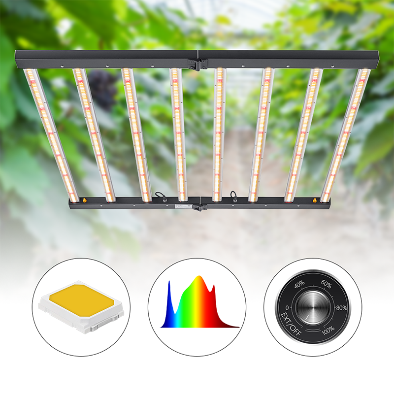 Hydroponic Led Grow Light