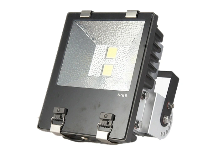 LED Flood Lamp, LED Spot Lighting (SLFY110)