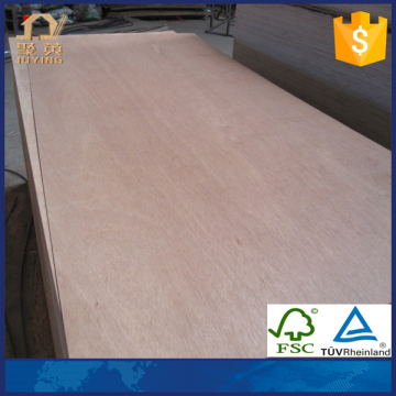 Eucalyptus Core Veneer and Plywood for furniture