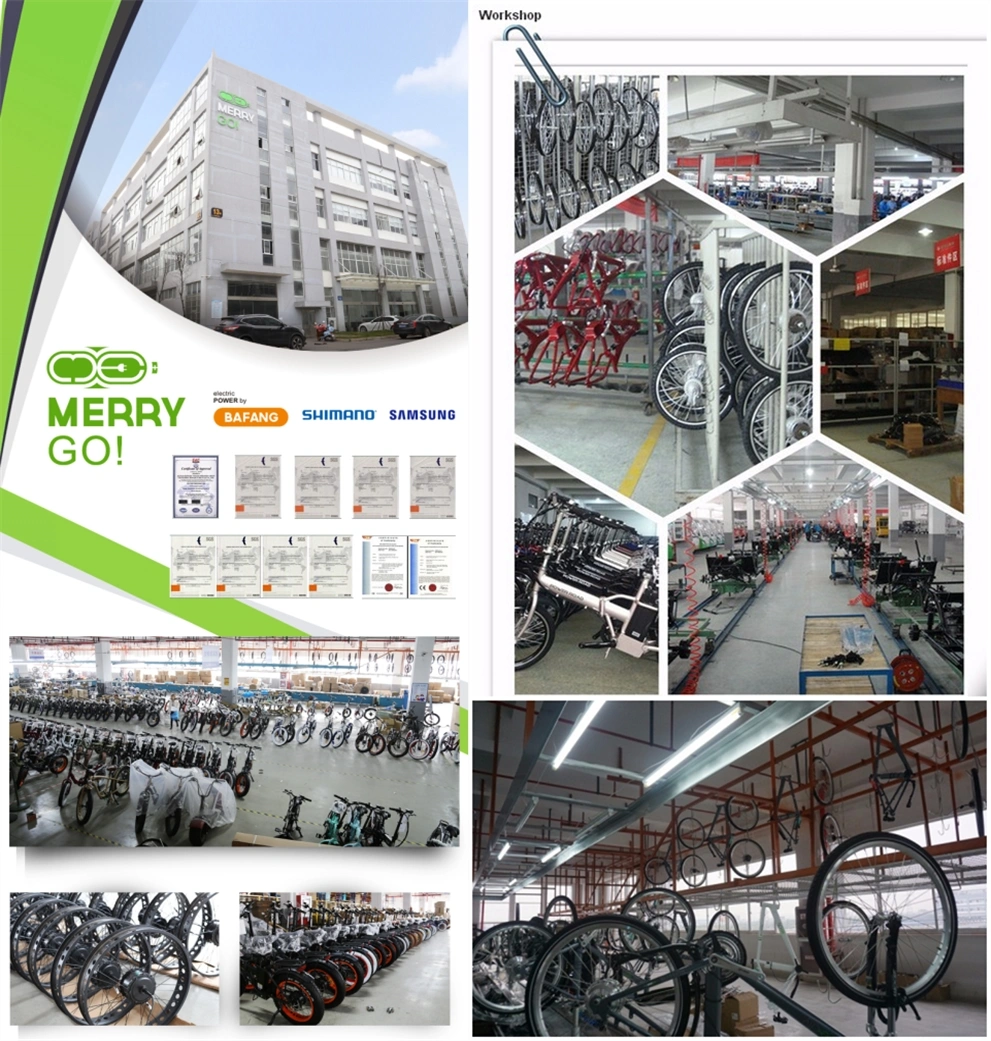 Hot Sale Alloy Frame Folding Bike 16 Inch Small Electric Bike Bicycle