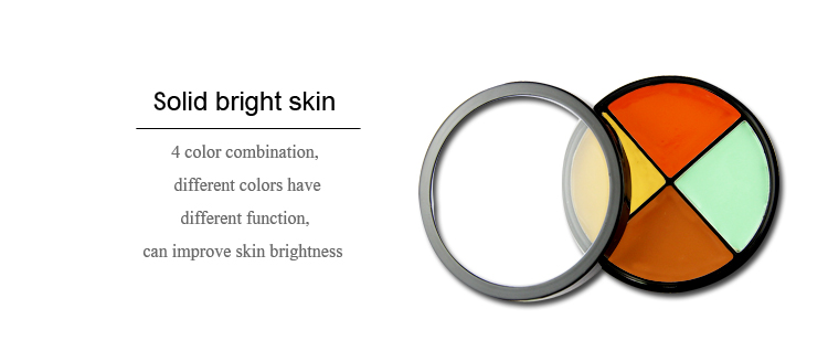 Concealer OEM Full Coverage Concealer Private Label Concealer palette no shading waterproof