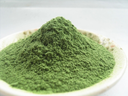 Health food bulk Dried barley grass powder