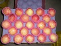 ताजा अच्छी Qulality फ़ूजी सेब