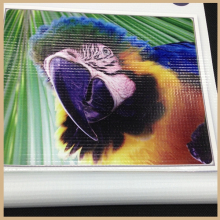 hot lamination blockout flex banner rolls