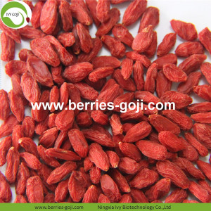 Super Grade Natural Fruit Premium Baie de Goji Premium