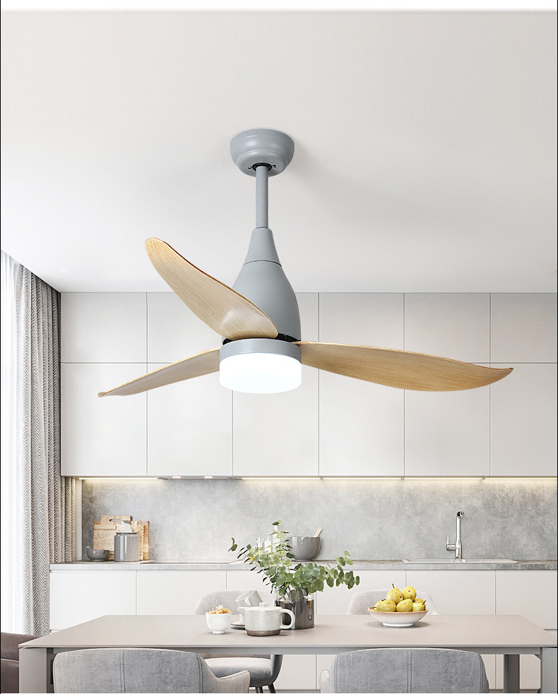 Decorative Best Ceiling FansofApplication Decorative Best Ceiling Fans