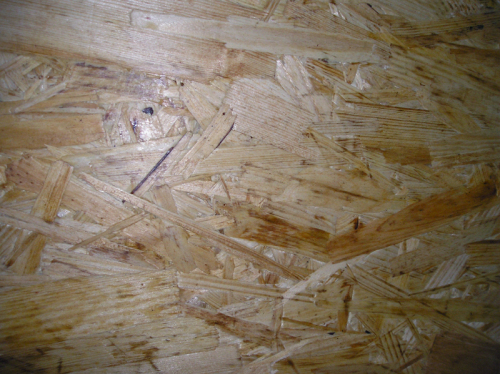 OSB oriented strand board