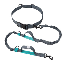 Dog Walking Leash designer Personalized Outdoor Dog Rope