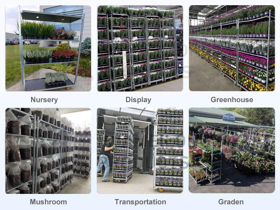 Industrial Good Quality Garden Danish Greenhouse Customized Dutch Display Galvanized Flower Trolley