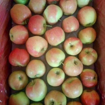 Fresh High Quality Huaguan Apple