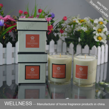 glass holder soy candle gift set