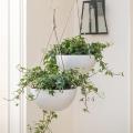 White Hanging Planter Basket