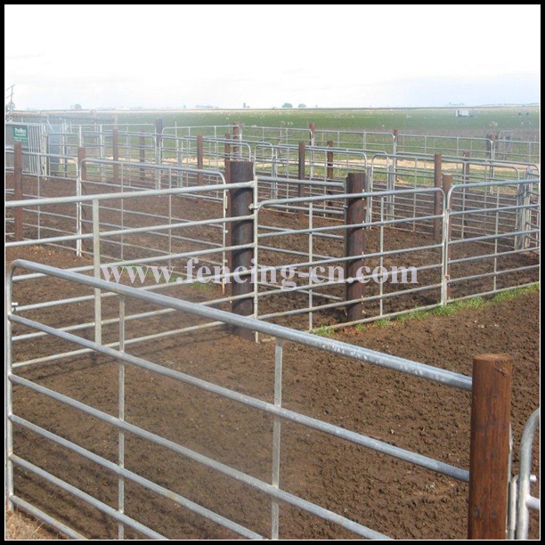 Heavy Duty Galvanized Sheep/Goat Fence Panels