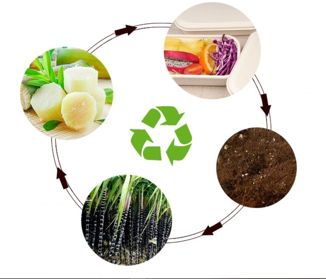 Biodegradable Sugarcane Bagasse Plate with Corn Starch