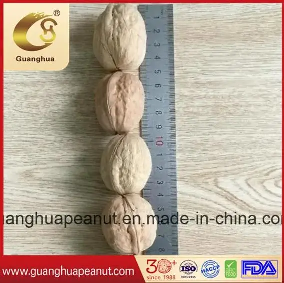 Easy Cracked Walnut Inshell 185 From China